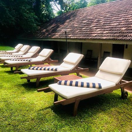 Hotel Ekho Sigiriya Exterior foto