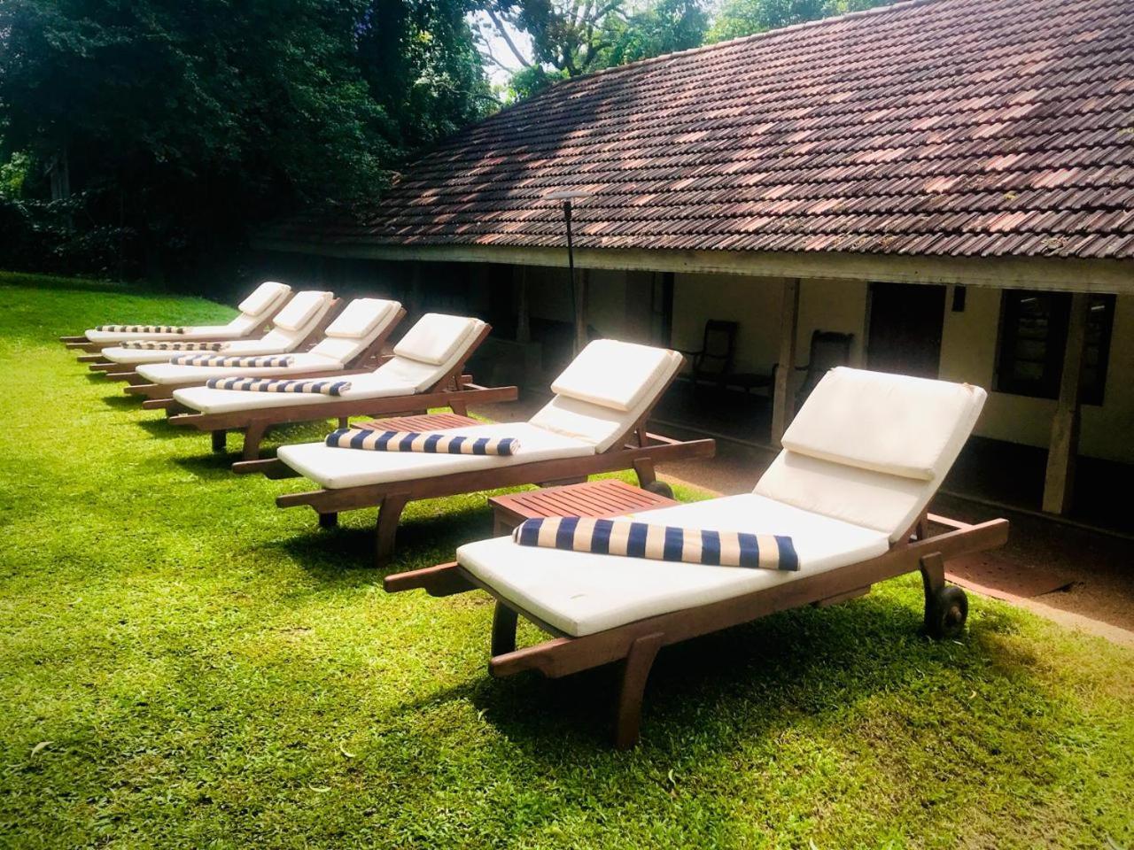 Hotel Ekho Sigiriya Exterior foto