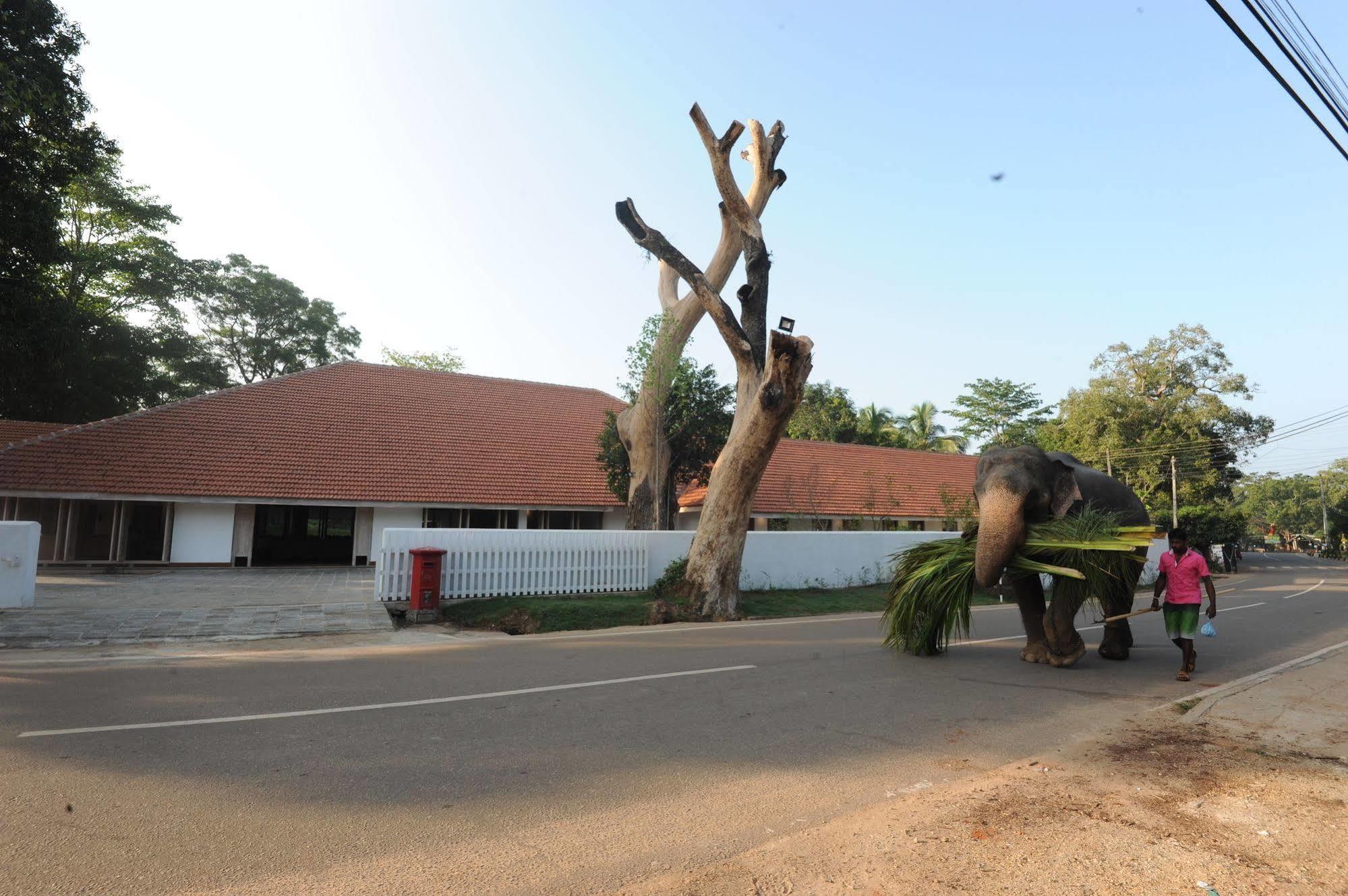 Hotel Ekho Sigiriya Exterior foto